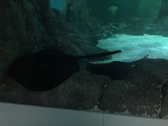 -常州海昌海洋探索馆