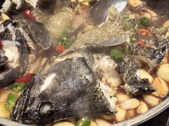 灶烧龙胆鱼-渔傅·霞浦滩涂海鲜(建平店)
