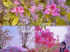 -小南山公园
