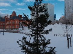 -北海道厅旧本厅舍(旧本庁舎)