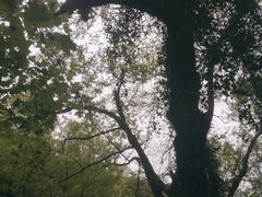 -会稽山峡洞漂流-上青古道