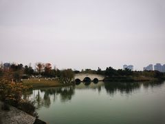 -眉山湿地公园(东坡区)