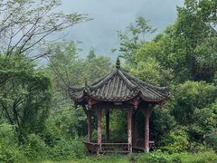 -青城山