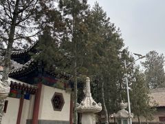 -兴教寺