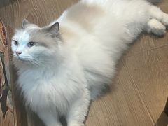 -暗楼·剧本杀·桌游