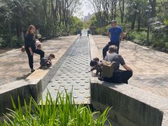 -苏州河梦清园环保主题公园