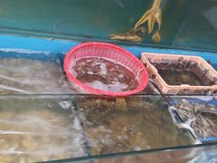 -沟北海边饭店(海埠路店)