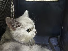 -美联众合动物医院·24h京西诊疗中心