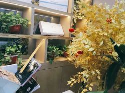 -痘院长·祛痘·皮肤管理