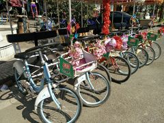 出租自行车-告庄西双景