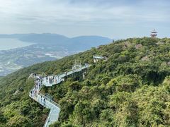 -亚龙湾热带天堂森林公园