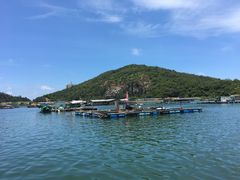 -海上驿站渔家菜馆