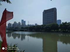 -光明港公园
