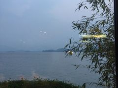 -湖畔居茶楼(湖滨店)