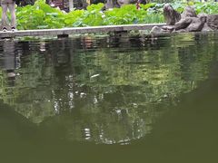 -莲湖公园