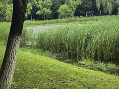 -滨湖塘西河公园