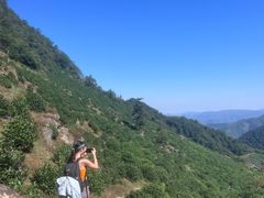 -东白山