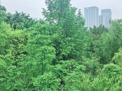 -沐仙湖湿地公园