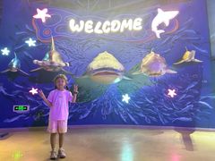 -烟台海昌鲸鲨海洋公园