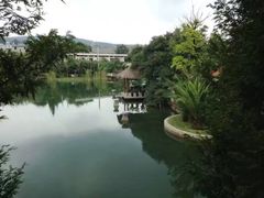 -抚仙湖万达文华酒店