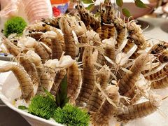 -红运火锅·中国名火锅·国风演绎(省体店)
