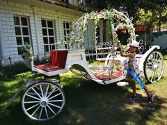 -史努比缤纷世界