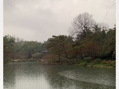 -西湖外事游船(花港观鱼码头)