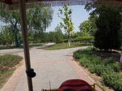 -永定河休闲森林公园