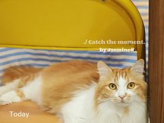 -氷冰凉刨冰甜品(北京路店)