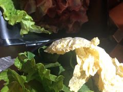 -探窝·竹笙椰子鸡(杨箕店)