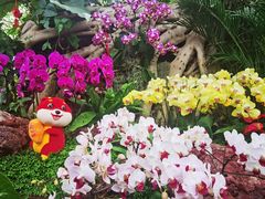 -上海辰山植物园
