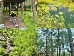 -洛阳白云山景区