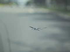 -小晏汽车维修店(华阳店)