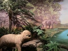 -湖南省地质博物馆