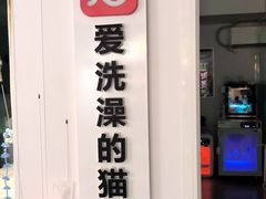 -爱洗澡的猫(望京店)