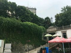 -上海佘山国家森林公园西佘山园