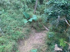 -野象谷景区