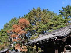 -京都御所