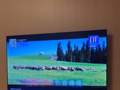 -麓湖国际水疗