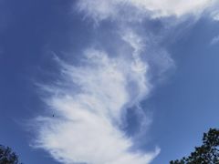 -八大处公园
