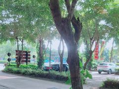 -呀诺达热带雨林