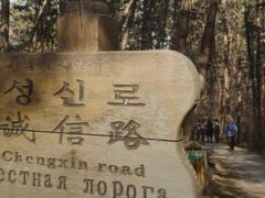 -帽儿山国家森林公园