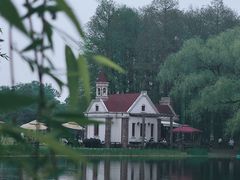 -上海共青森林公园