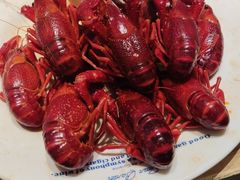 -星伦多自助料理(龙湖虹桥天街店)