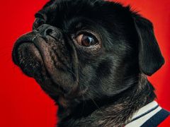 -麦德龙(镇江开发区店)