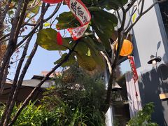 -肴约·花园式餐厅(湖里店)
