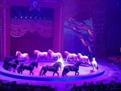 -珠海横琴长隆《卡卡虎奇遇记》