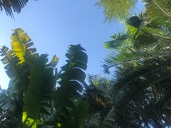 -厦门日月谷温泉渡假村