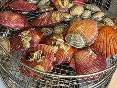 -海味当家·蒸锅海鲜(星海公园店)