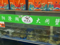 -阳澄湖大闸蟹·琼灵阁牌品牌连锁(吴中总店)